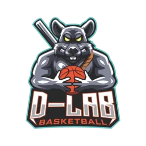 DLAB HOOPS